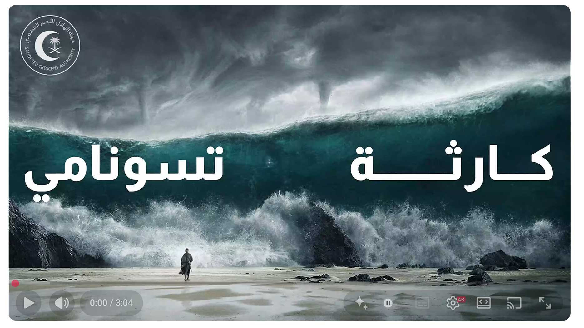 صورة عمل مرئي بعنوان كارثة تسونامي